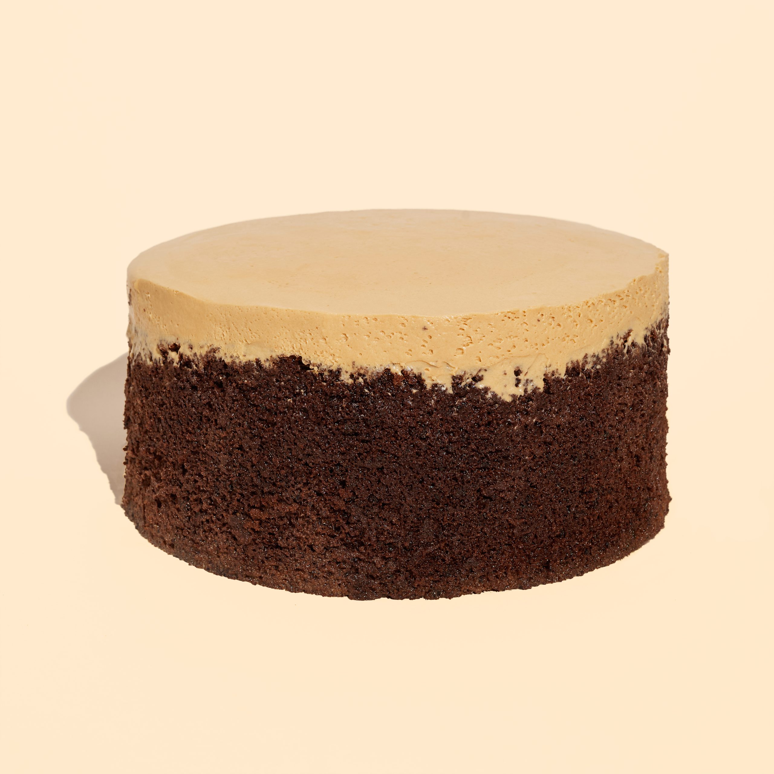 Chocolate Milk Cake